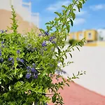 Orlando Tenerife Sea View - Pool - Ac * Costa Adeje (Tenerife)