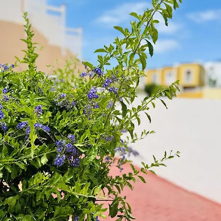 Orlando Tenerife Sea View - Pool - Ac * アデヘ