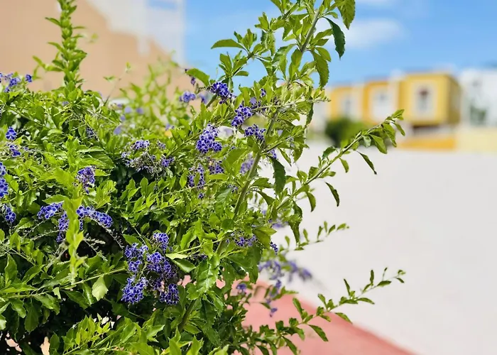 Orlando Tenerife Sea View - Pool - Ac * Costa Adeje (Tenerife)